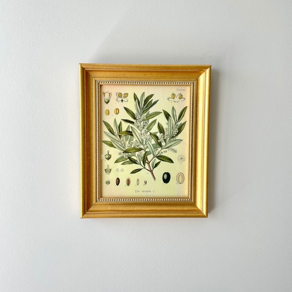 Other - Gold Ornate Picture Frame Wall Art - Botanical Print